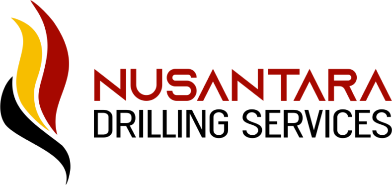 logo NDS